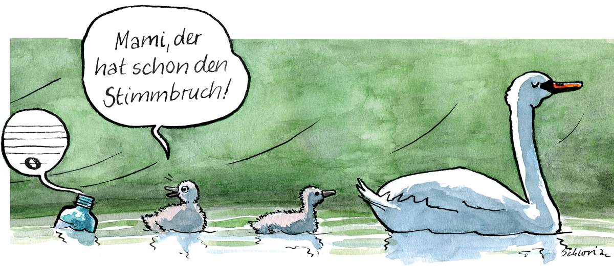 Familie Schwan und PET-Flasche