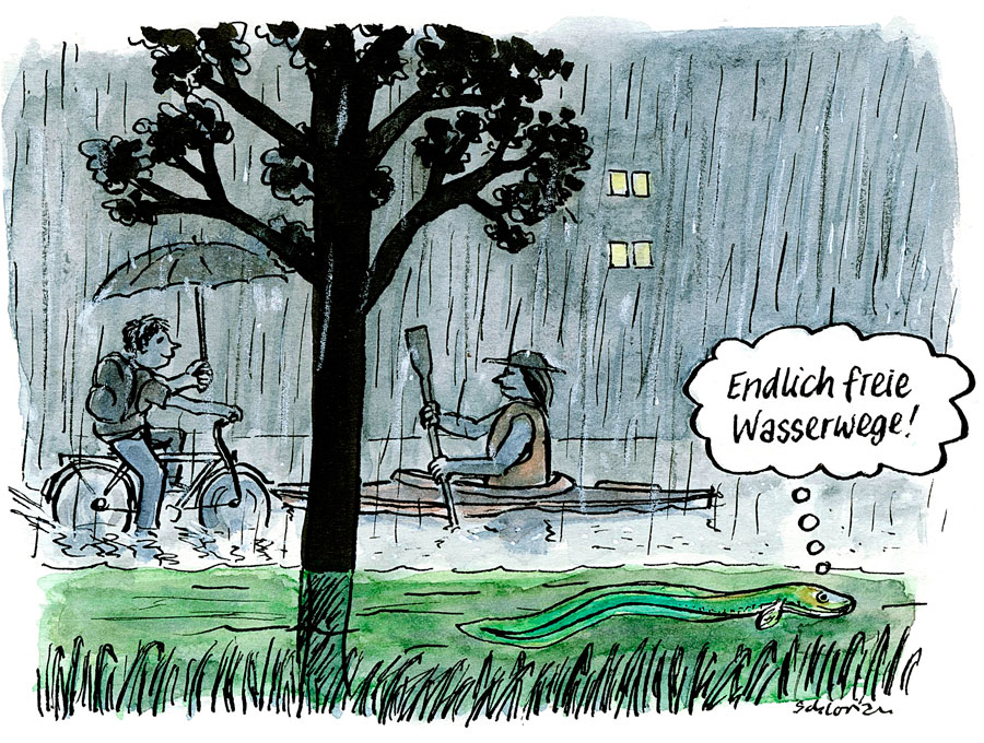 Cartoon: Endlich freie Wasserwege!