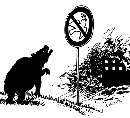 Flugverbot für Friedenstauben