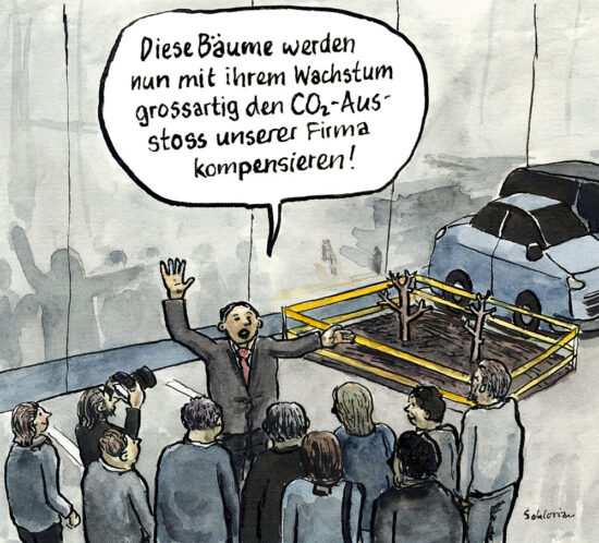 Baumpflanzung als CO2-Kompensation