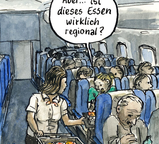 regional Essen im Flugzeug