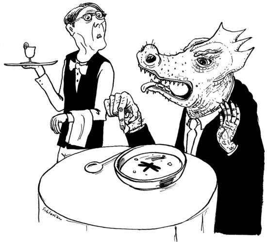 Libelle in der Suppe