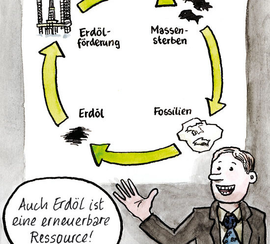 erneuerbare Ressource