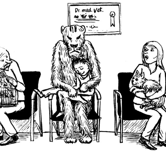 beim Tierarzt
