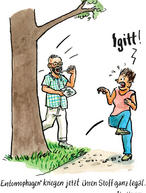 Insekten dürfen als Lebensmittel angeboten werden.