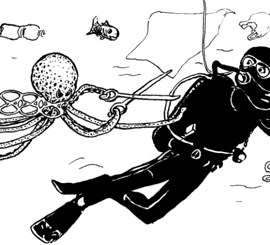 die Rache des Oktopus