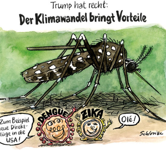 Direktflüge für Dengue und Zika