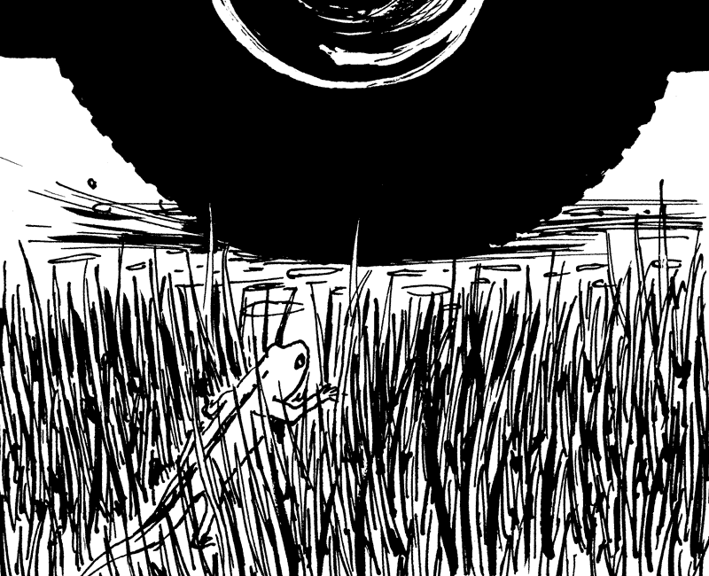 Molch auf Wanderschaft