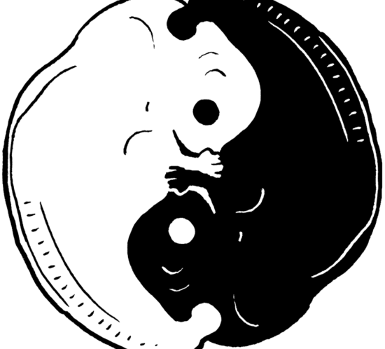 Ying und Yang