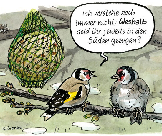 Vögel: Weshalb in den Süden?