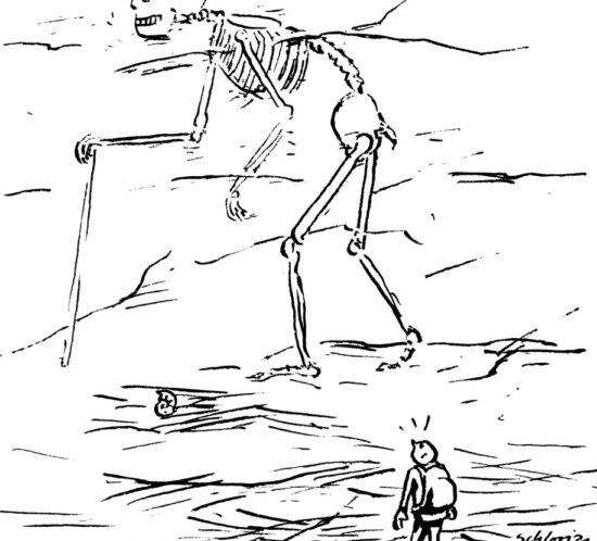 Fossil von altem Mensch