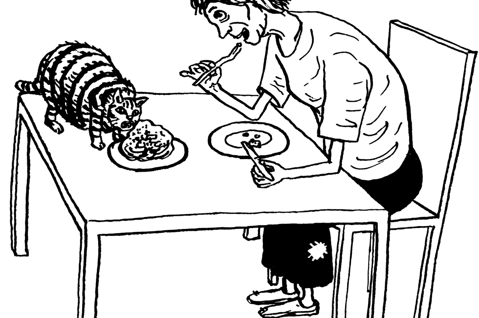 dicke Katze, dünne Frau