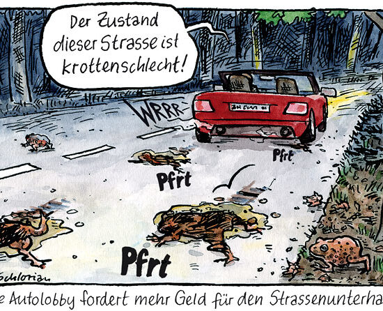 krottenschlechter Strassenzustand