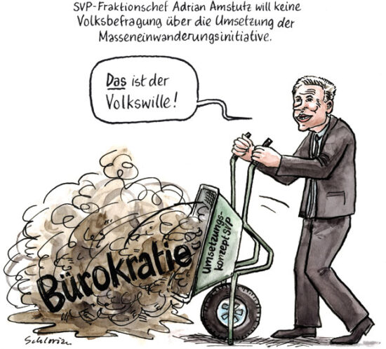 Umsetzungskonzept von Amstutz