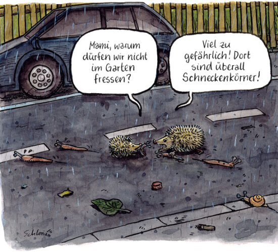 Probleme der Igel