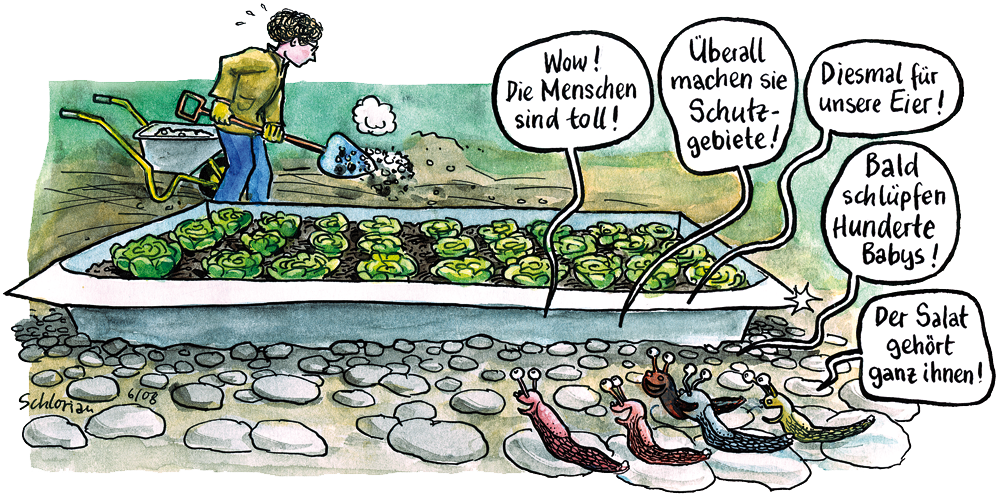 Cartoon Schnecken