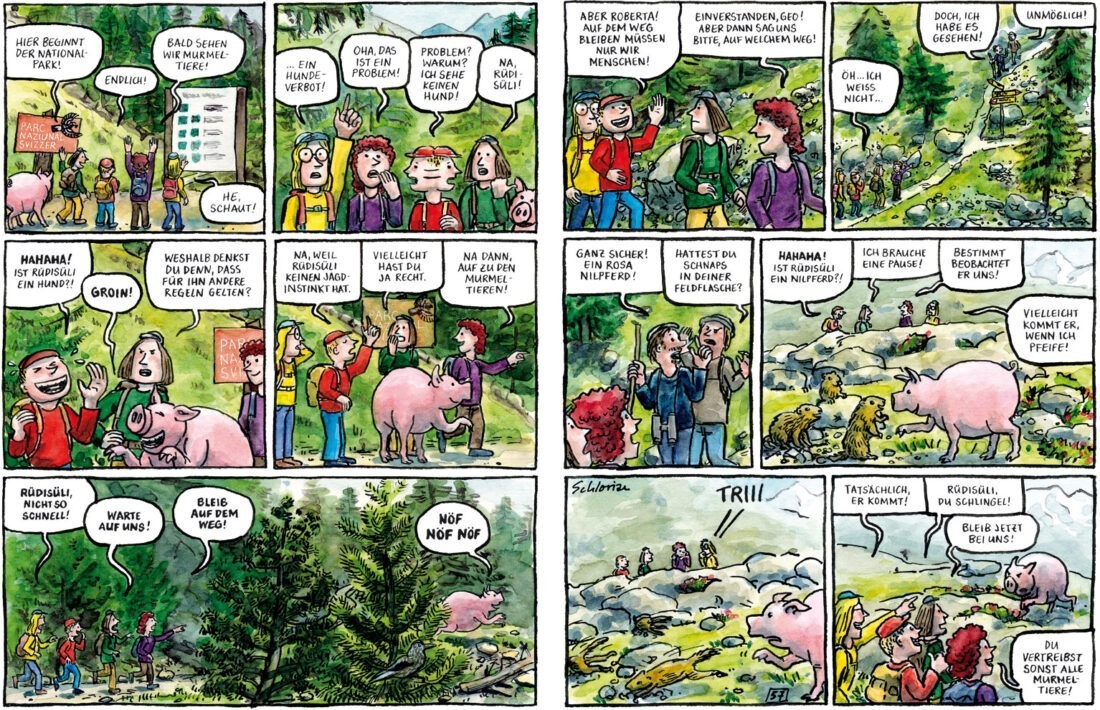Die Schweinebande im Nationalpark