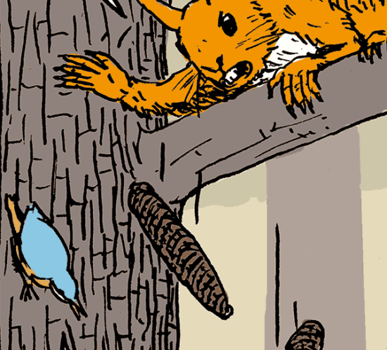 Trix wirft Tannzapfen