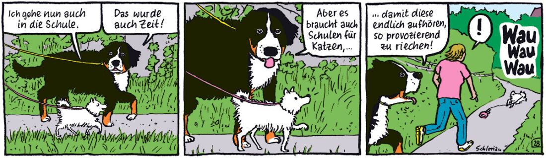 Hundeschule: Warum müssen Katzen nicht?