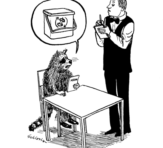 Waschbär im Restaurant