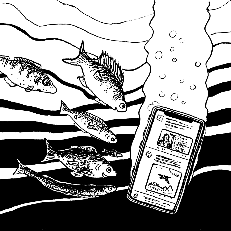 Fische an Handy