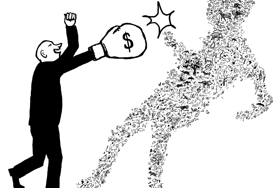 Geld schlägt die Biodiversität KO.