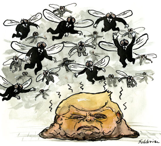 Anhänger strömen wie Fliegen Trump zu