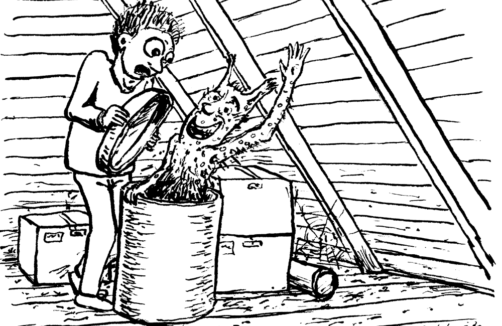 eine Entdeckung auf dem Dachboden