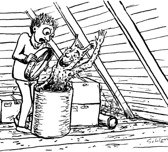 eine Entdeckung auf dem Dachboden