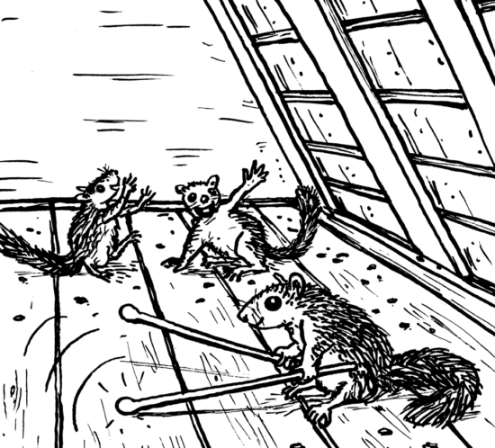 Siebenschläfer am Trommeln