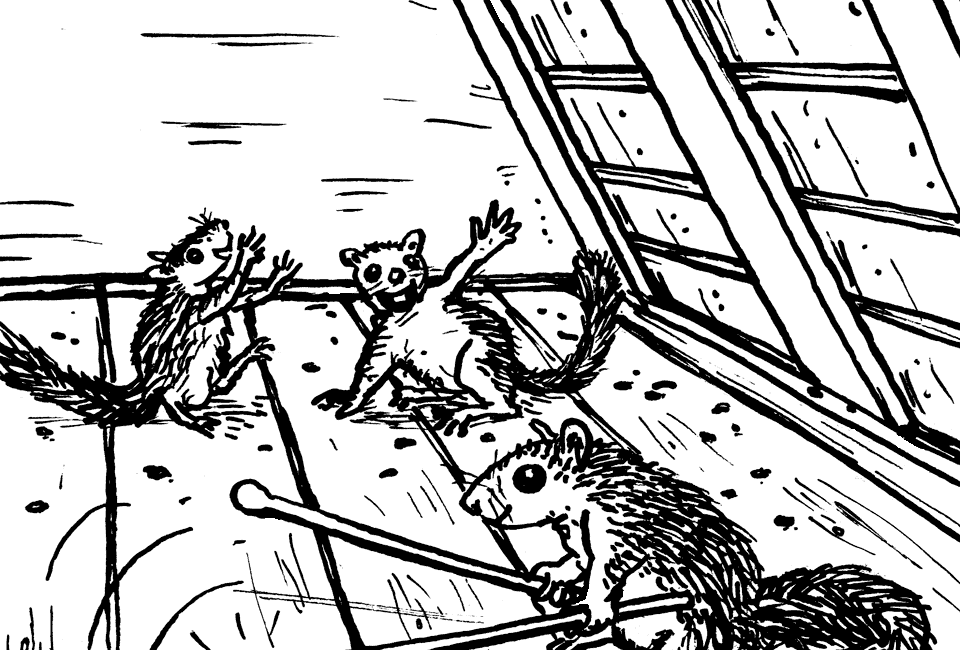 Siebenschläfer am Trommeln