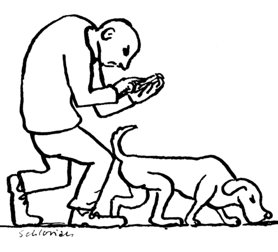 Mann und Hund unterwegs