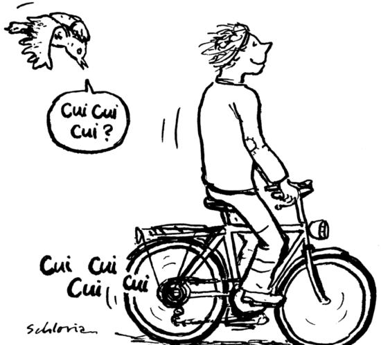 Ein rostige Velo lockt einen Vogel an