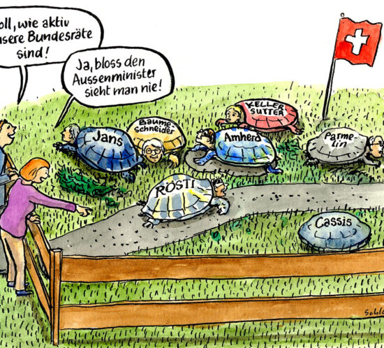 Schweizer Bundesräte als Schildkröten