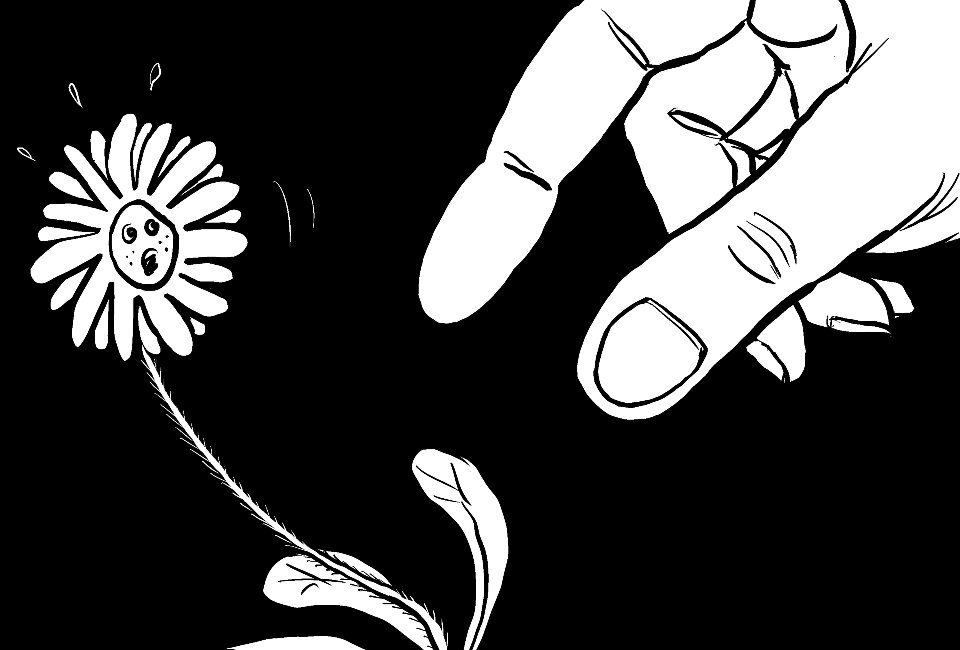 Das Gänseblümchen hat Angst.