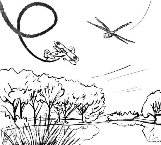 Doppeldecker und Libelle