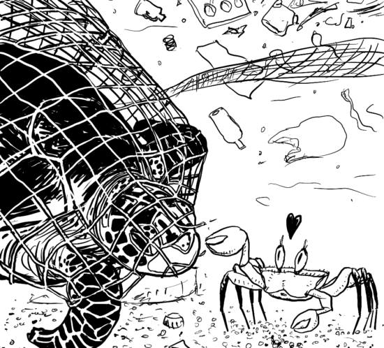 Krabbe befreit Schildkröte