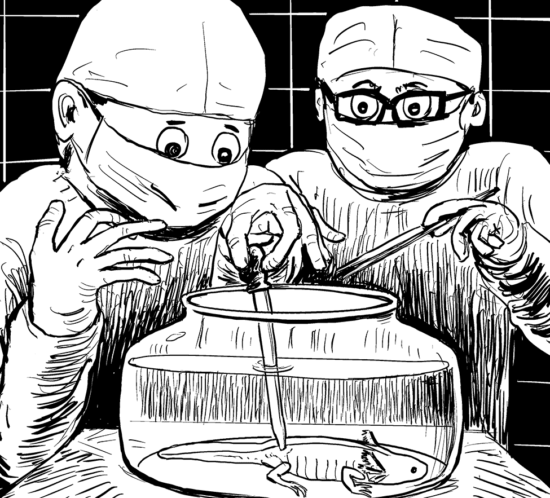 Axolotl und Wissenschaftler