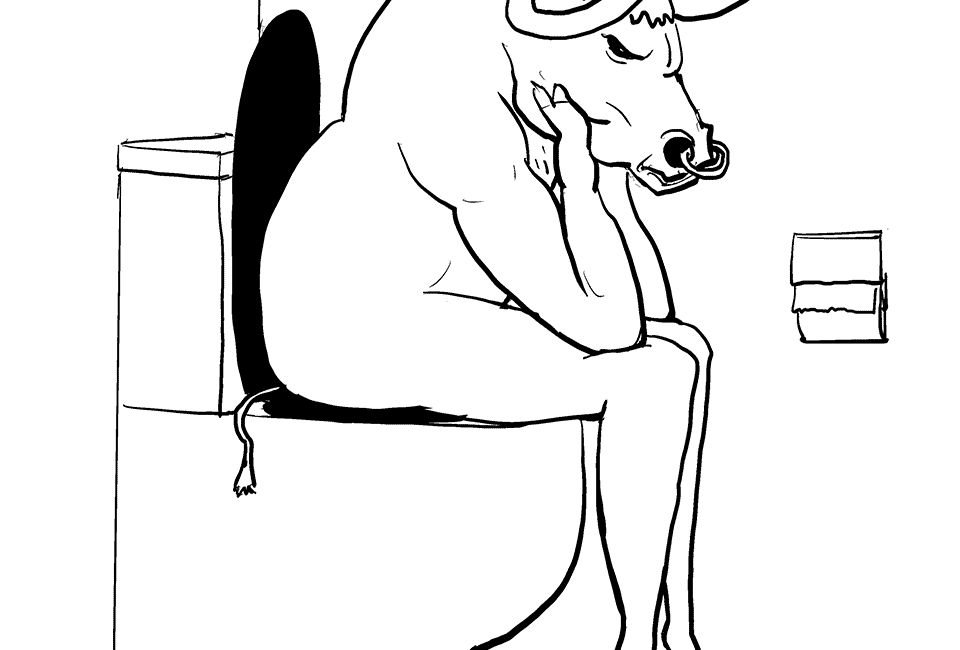 Sternzeichen Stier
