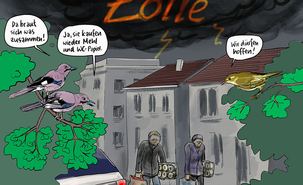 drohende Zölle