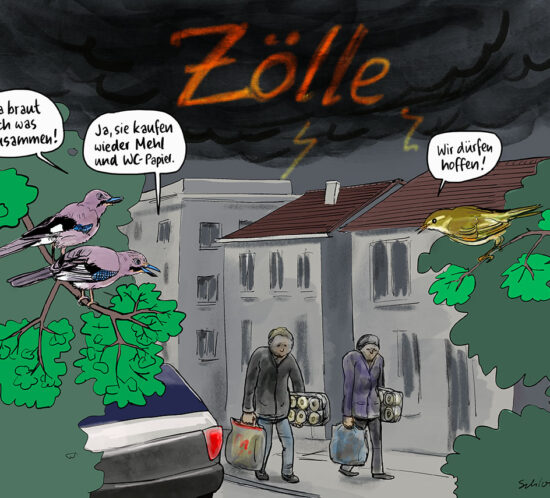 drohende Zölle