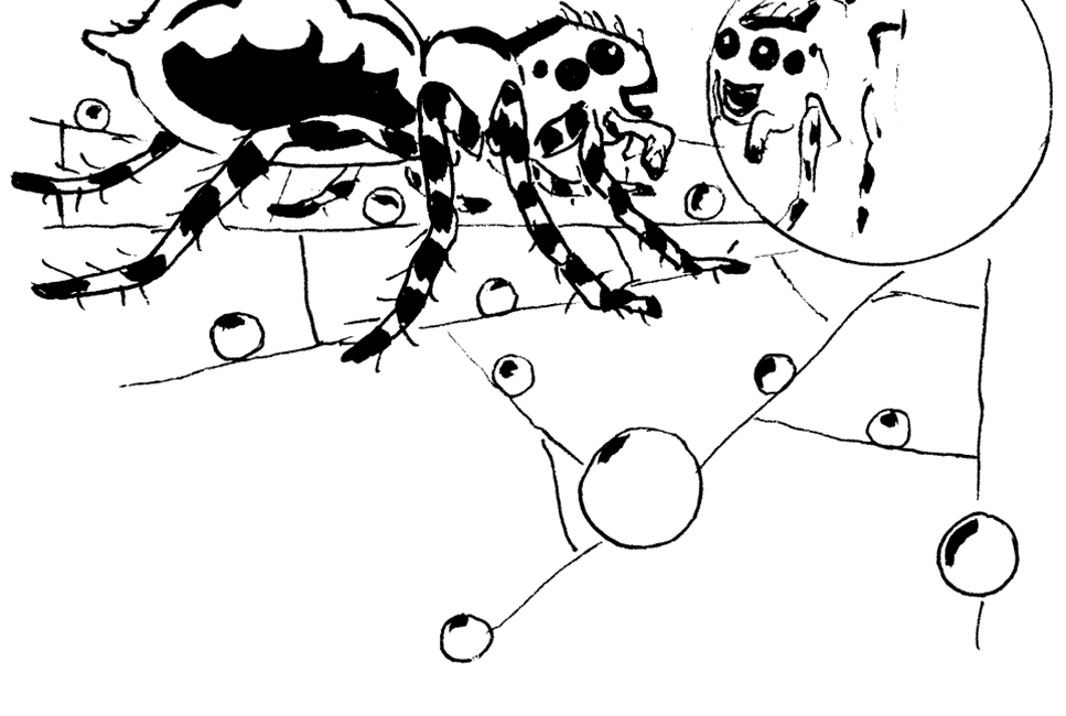 schöne Spinne vor Morgentau