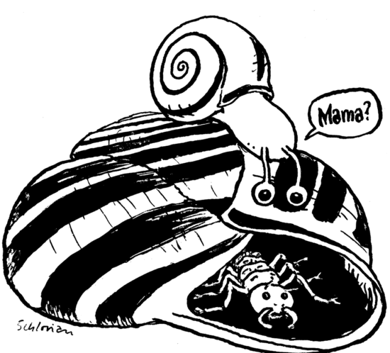Schnecke: "Mama?!"