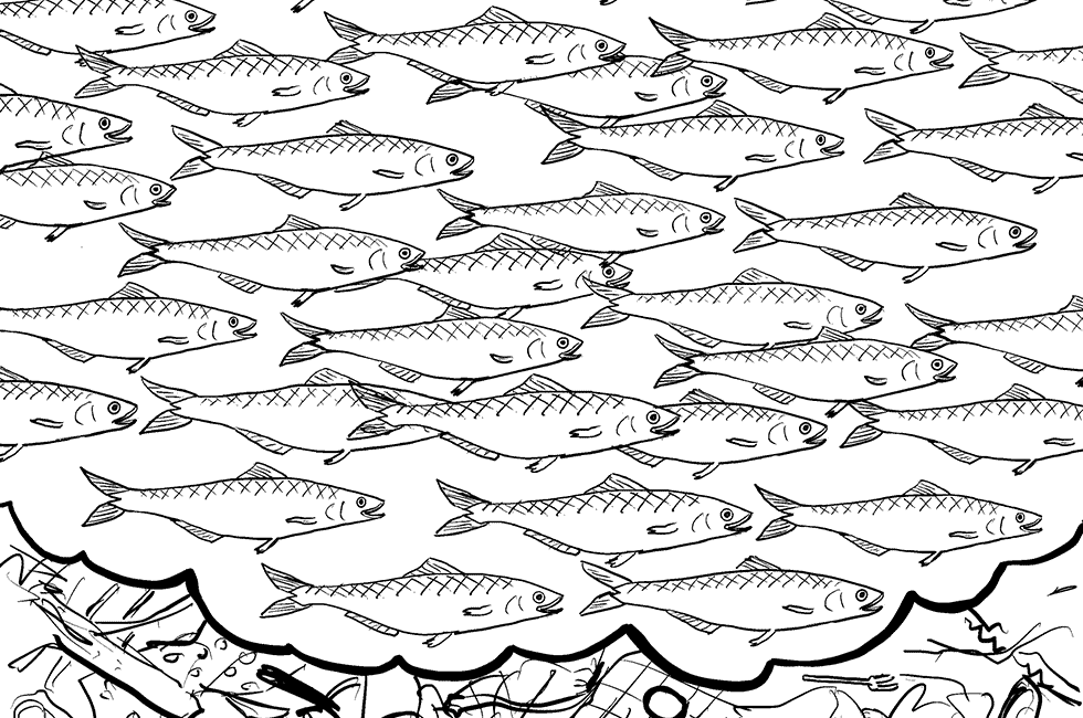 Traum der Sardine