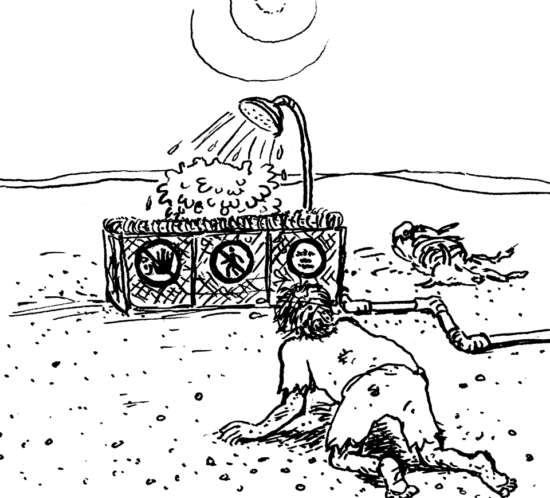 Avocado-Farm in der Wüste