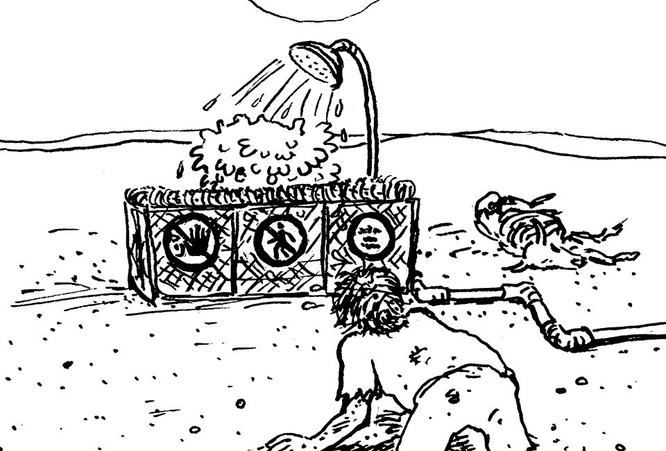 Avocado-Farm in der Wüste