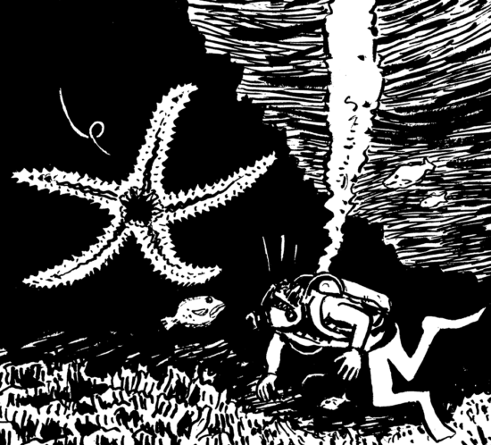 Taucher und Seestern