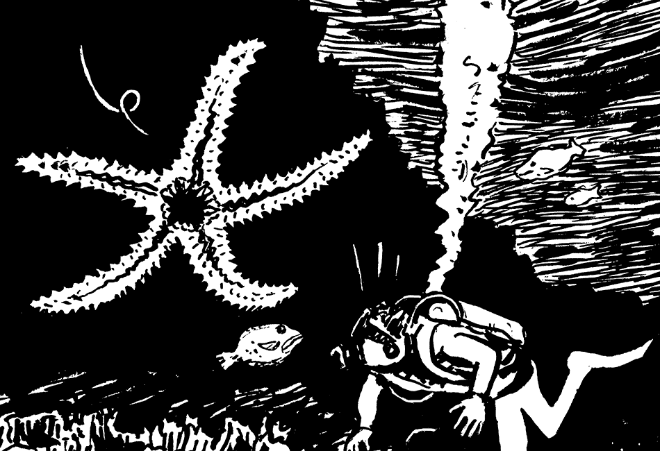 Taucher und Seestern