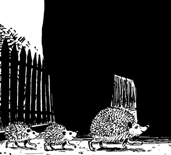 Igelfamilie überquert Strasse