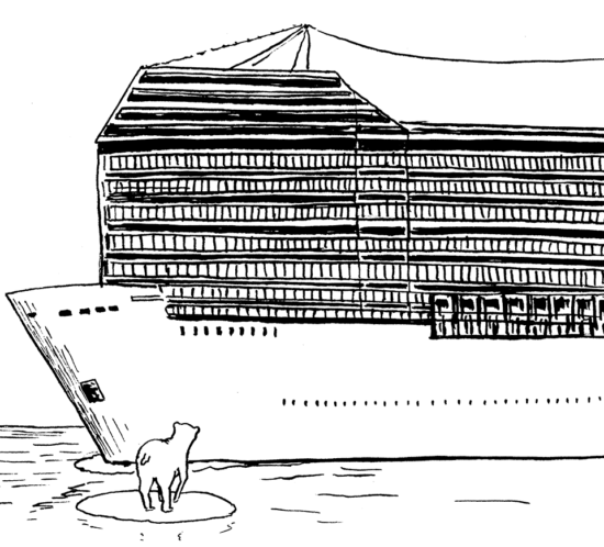 Kreuzfahrt in der Arktis